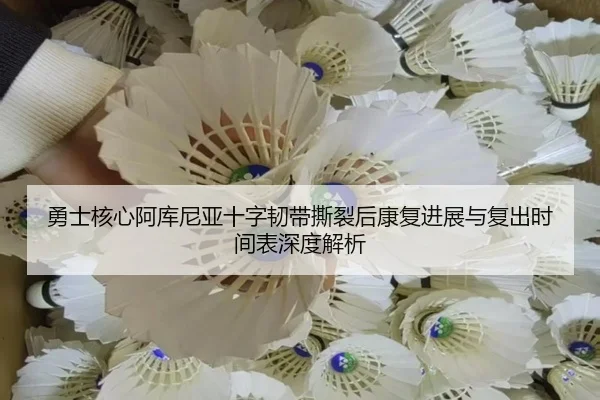 yong-shi-he-xin-a-ku-ni-ya-shi-zi-ren-dai-si-lie-hou-kang-fu-jin-zhan-yu-fu-chu-shi-jian-biao-shen-du-jie-xi-3-630.jpg