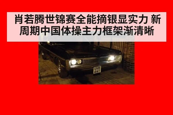 肖若腾世锦赛全能摘银显实力 新周期中国体操主力框架渐清晰